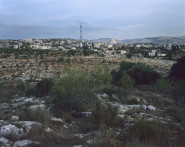 'Akbara, 2015©Yaakov Israel